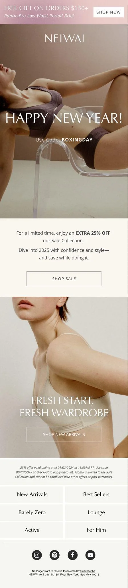 Neiwai email campaign